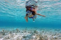 Guided Snorkeling Trip