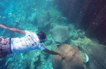Guided Snorkeling Trip