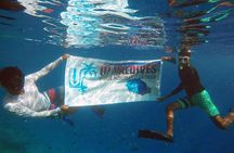 Guided Snorkeling Trip
