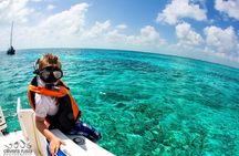 Hol Chan Marine Reserve Snorkel Tour on the 40' Sirena Azul Sailboat