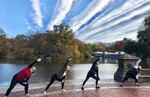 Central Park Walking Tour with Yoga