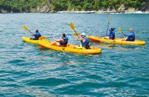 Manuel Antonio Sea Kayak and Snorkeling Adventure