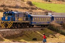 Excursion: Full Day Tour of Machu Picchu from Cusco