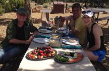 Private Grand Canyon Sightseeing Tour from Williams Tusayan GCV