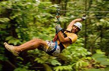 Rainforest Canopy Adventure from Vieux Fort or North Island, St Lucia