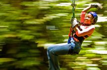Rainforest Canopy Adventure from Vieux Fort or North Island, St Lucia