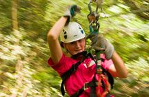 Rainforest Canopy Adventure from Vieux Fort or North Island, St Lucia