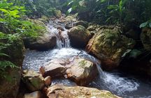 Rainforest Waterfall Adventure