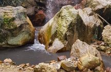 Rainforest Waterfall Adventure