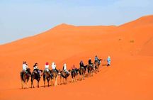 3 Days Private Morocco Sahara Desert Tour from Marrakech to Fes
