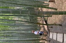 Private Tour Kamakura and Enoshima With Guide and photographer