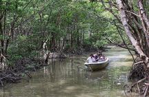 Private Can Gio Mangrove Eco Tour – Boat & Wildlife