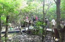Private Can Gio Mangrove Eco Tour – Boat & Wildlife