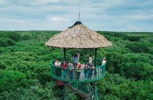 Private Can Gio Mangrove Eco Tour – Boat & Wildlife