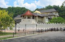Kandy Private Day Tour Ahungalla/Kosgoda/Bentota/Beruwala/Kaluthara