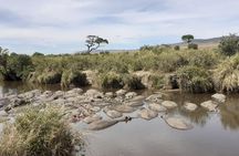 SERENGETI NATIONAL PARK Tour