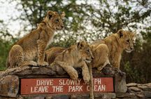 Nairobi National Park, Baby Elephant Orphanage and Giraffe Center