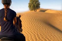 Desert Horse Riding Experience in Dubai