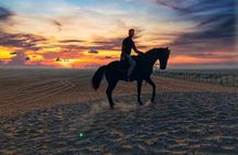 Desert Horse Riding Experience in Dubai