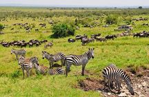 2 Days Awe-Inspiring Safari in Maasai Mara National Reserve, Kenya