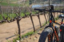E-Bike Winelands Tour