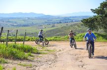 E-Bike Winelands Tour