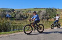 E-Bike Winelands Tour