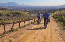 E-Bike Winelands Tour
