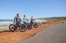E-Bike Cape Peninsula tour