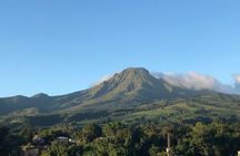 Private Custom Tour of Martinique