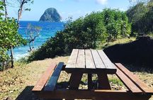 Private Custom Tour of Martinique