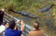 Airboat Tour