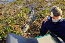 Airboat Tour