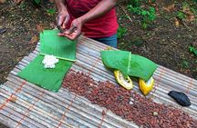 One Day Cocoa Farm Experience, Boti Waterfall,aburi Botanical Gardens