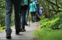 Chilkoot Trail Hike, Float, and Summit Drive