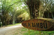 Lancetilla Botanical Garden from San Pedro Sula