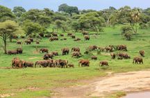 3 Days Amazing Tanzania Safari