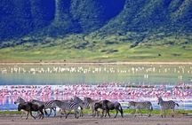 3 Days Amazing Tanzania Safari