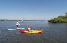 Round Island Kayak & Paddle Board Tour