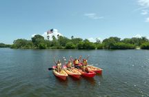 Round Island Kayak & Paddle Board Tour