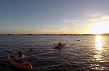 Round Island Kayak & Paddle Board Tour