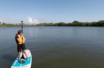 Round Island Kayak & Paddle Board Tour