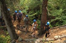 Adventure Parks & Zipline Tour
