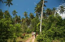 Come and taste the Zanzibar feelings 