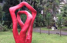 City Tour in Santos - History, Traditions and Culture