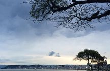 City Tour in Santos - Histories, Memories and Culture of Santos