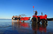 Southern Duo kayak & walk tour