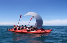 Southern Duo kayak & walk tour