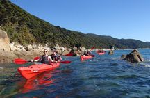 Southern Duo kayak & walk tour
