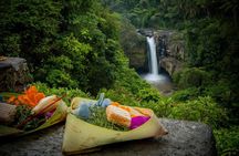 Bali Private Car Hire with Driver